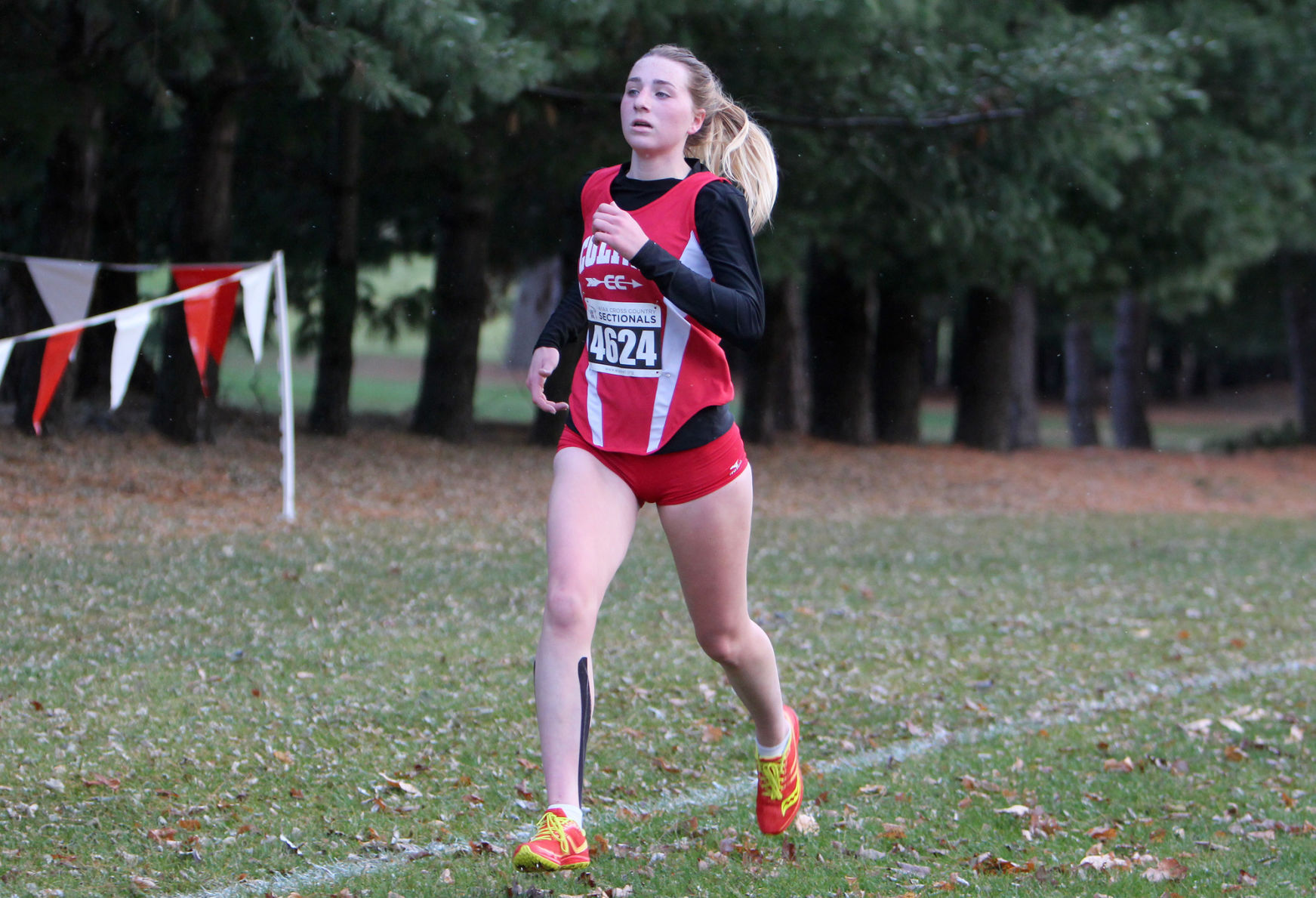Division 3 Cross Country Sub-Sectional at Colfax 10-19-20